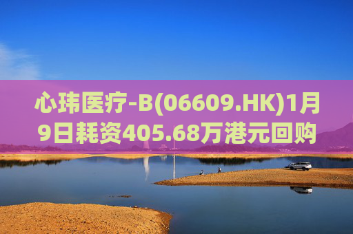 心玮医疗-B(06609.HK)1月9日耗资405.68万港元回购6.88万股  第1张