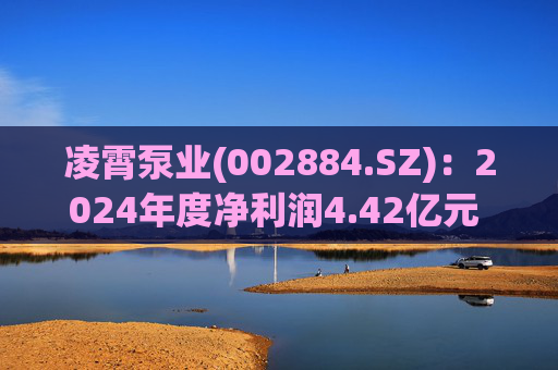 凌霄泵业(002884.SZ)：2024年度净利润4.42亿元 拟10派10元