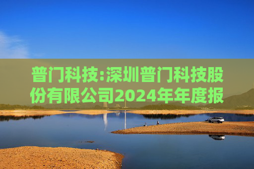 普门科技:深圳普门科技股份有限公司2024年年度报告