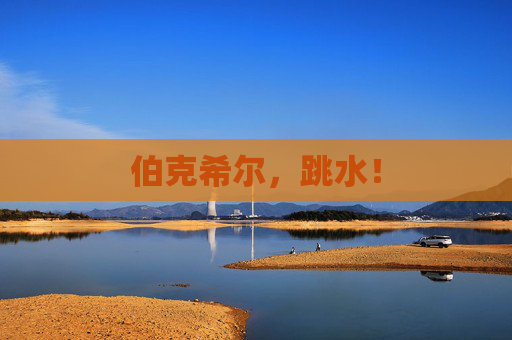 伯克希尔，跳水！