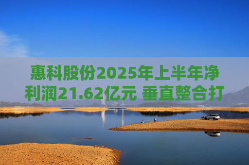 惠科股份2025年上半年净利润21.62亿元 垂直整合打造显示产业全链条优势