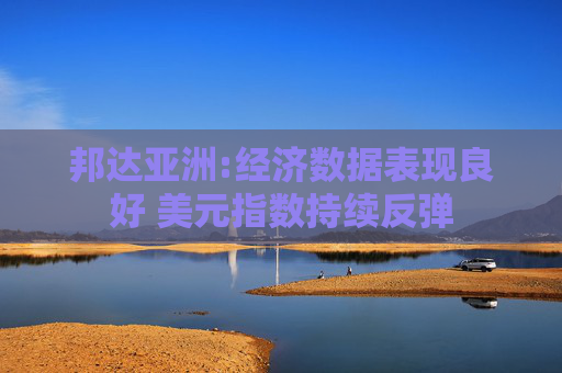 邦达亚洲:经济数据表现良好 美元指数持续反弹