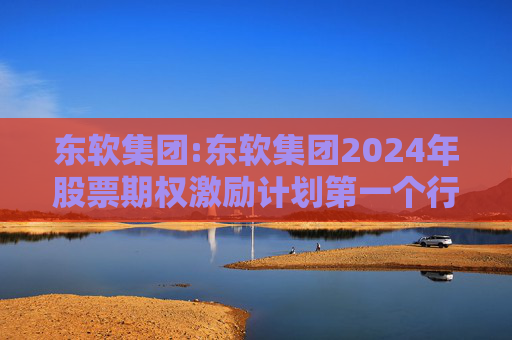 东软集团:东软集团2024年股票期权激励计划第一个行权期2025年第四季度自主行权结果暨股份变动的公告