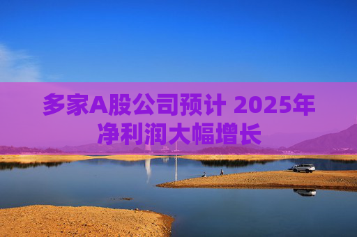 多家A股公司预计 2025年净利润大幅增长