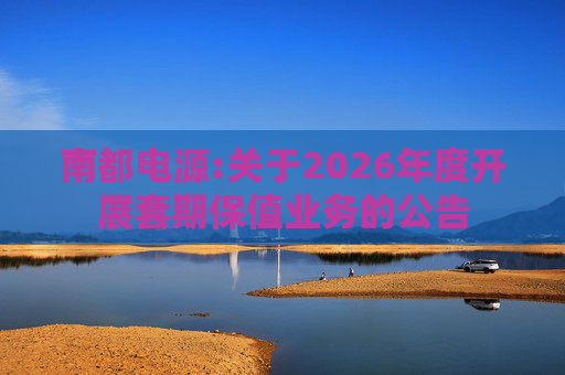 南都电源:关于2026年度开展套期保值业务的公告