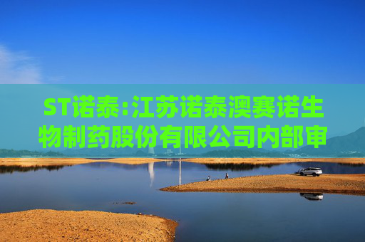 ST诺泰:江苏诺泰澳赛诺生物制药股份有限公司内部审计管理制度