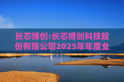 长芯博创:长芯博创科技股份有限公司2025年年度业绩预告  第1张