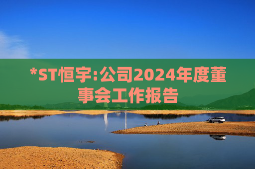 *ST恒宇:公司2024年度董事会工作报告