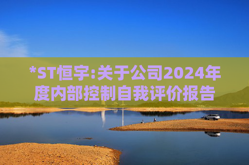 *ST恒宇:关于公司2024年度内部控制自我评价报告