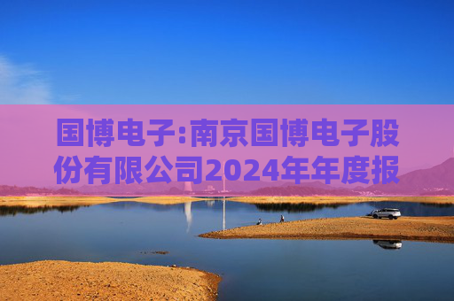 国博电子:南京国博电子股份有限公司2024年年度报告