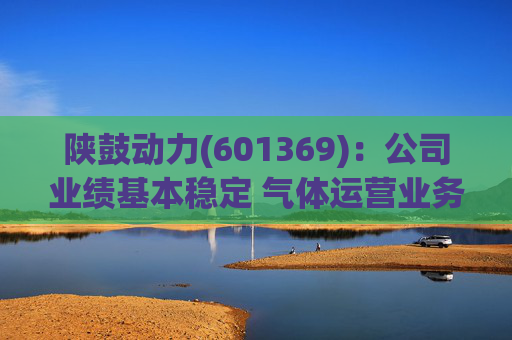 陕鼓动力(601369)：公司业绩基本稳定 气体运营业务贡献新增长引擎