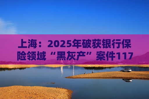 上海：2025年破获银行保险领域“黑灰产”案件117起 持续净化金融生态