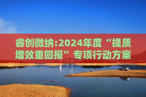 睿创微纳:2024年度“提质增效重回报”专项行动方案的评估报告暨2025年度“提质增效重回报”专项行动方案