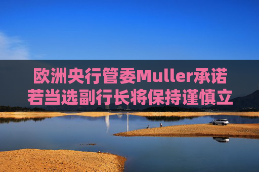 欧洲央行管委Muller承诺若当选副行长将保持谨慎立场
