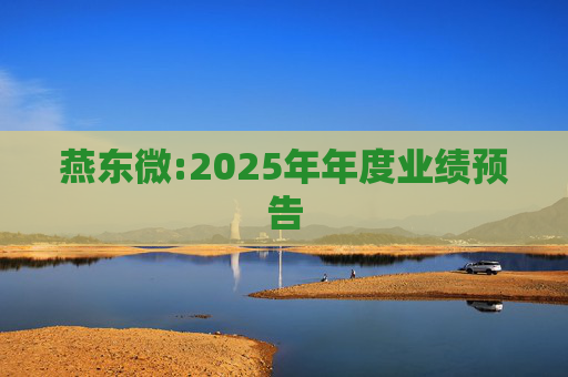 燕东微:2025年年度业绩预告