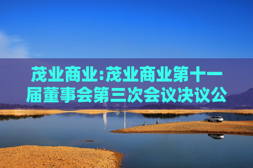 茂业商业:茂业商业第十一届董事会第三次会议决议公告