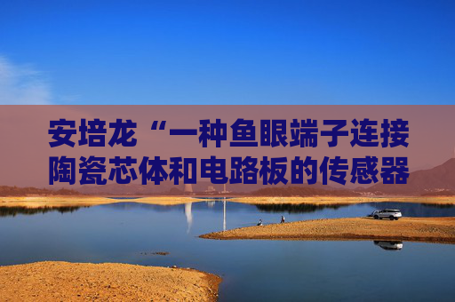 安培龙“一种鱼眼端子连接陶瓷芯体和电路板的传感器及组装方法”专利获授权