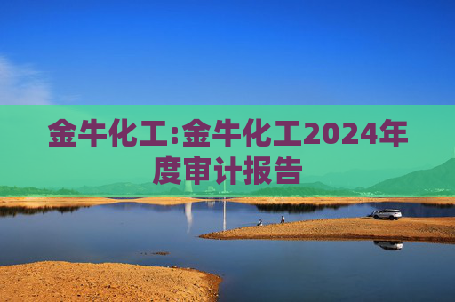金牛化工:金牛化工2024年度审计报告  第1张