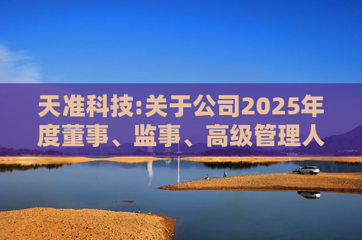天准科技:关于公司2025年度董事、监事、高级管理人员薪酬方案的公告  第1张