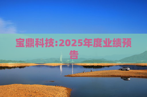 宝鼎科技:2025年度业绩预告