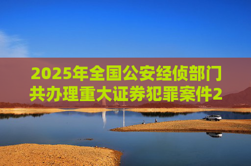 2025年全国公安经侦部门共办理重大证券犯罪案件200余起