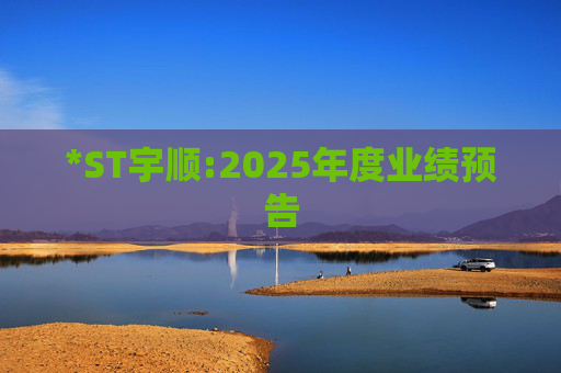 *ST宇顺:2025年度业绩预告