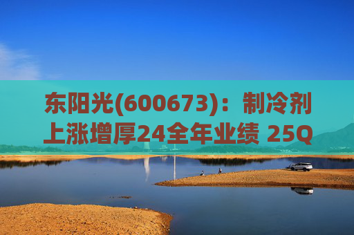 东阳光(600673)：制冷剂上涨增厚24全年业绩 25Q1业绩略超预期 液冷与具身智能共创未来