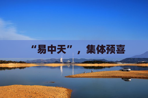 “易中天”，集体预喜