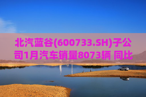 北汽蓝谷(600733.SH)子公司1月汽车销量8073辆 同比增长11.83%