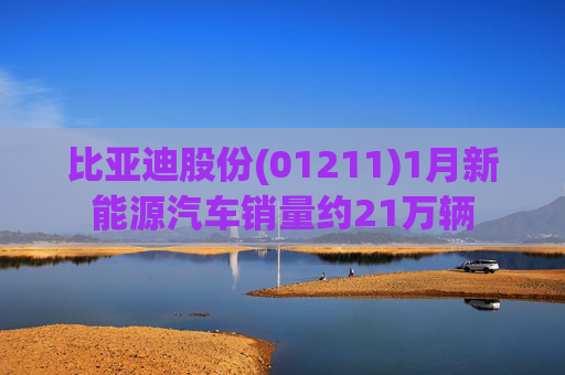 比亚迪股份(01211)1月新能源汽车销量约21万辆