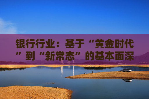 银行行业：基于“黄金时代”到“新常态”的基本面深度复盘：从规模扩张到价值创造：中国银行业二十年演进与中外模式比较