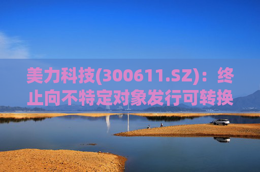 美力科技(300611.SZ)：终止向不特定对象发行可转换公司债券事项并撤回申请文件