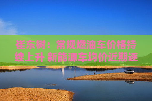 崔东树：常规燃油车价格持续上升 新能源车均价近期逐步下降