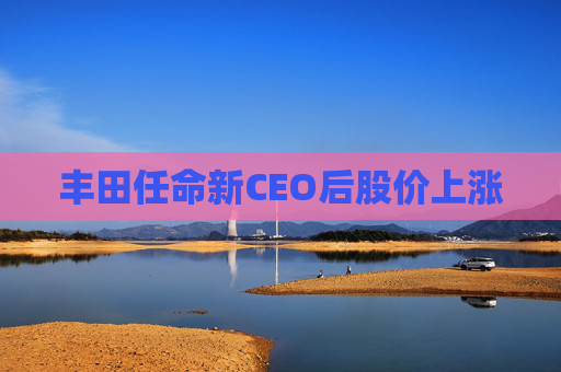 丰田任命新CEO后股价上涨