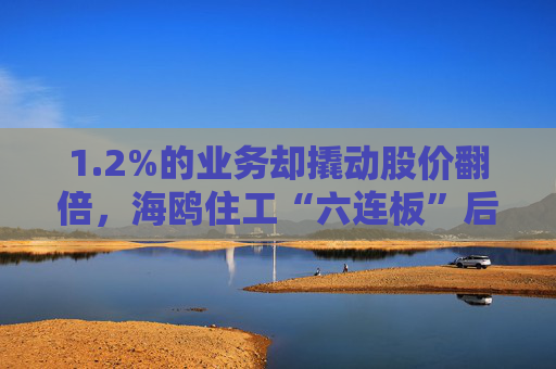 1.2%的业务却撬动股价翻倍，海鸥住工“六连板”后跌停，在越建厂能否扛住关税冲击？  第1张