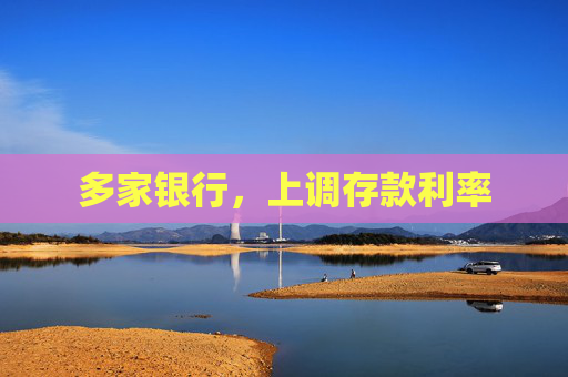 多家银行，上调存款利率