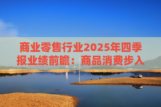商业零售行业2025年四季报业绩前瞻：商品消费步入高基数 掘金AI及新消费赛道  第1张