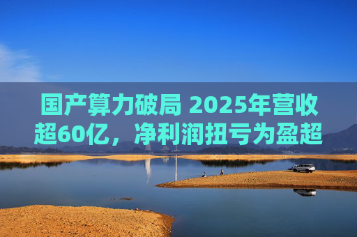 国产算力破局 2025年营收超60亿，净利润扭亏为盈超18亿