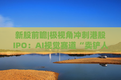 新股前瞻|极视角冲刺港股IPO：AI视觉赛道“卖铲人”潜力可期，盈利波动困境难解
