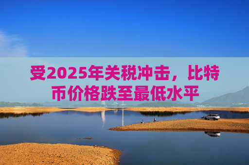 受2025年关税冲击，比特币价格跌至最低水平