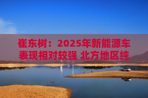 崔东树：2025年新能源车表现相对较强 北方地区纯电动占比提升明显
