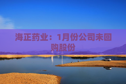 海正药业：1月份公司未回购股份