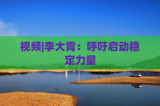 视频|李大霄：呼吁启动稳定力量
