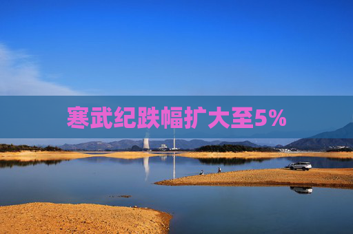 寒武纪跌幅扩大至5%