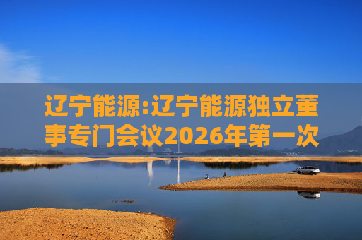 辽宁能源:辽宁能源独立董事专门会议2026年第一次会议决议