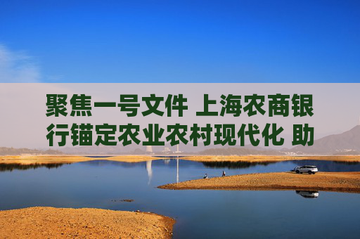 聚焦一号文件 上海农商银行锚定农业农村现代化 助力乡村振兴开新局