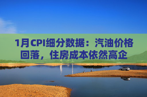1月CPI细分数据:汽油价格回落,住房成本依然高企 第1张 1月CPI细分数据:汽油价格回落,住房成本依然高企 第1张