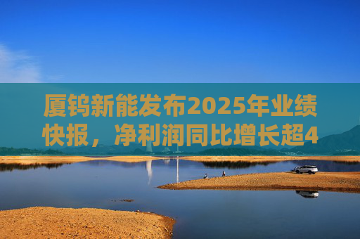 厦钨新能发布2025年业绩快报，净利润同比增长超40%