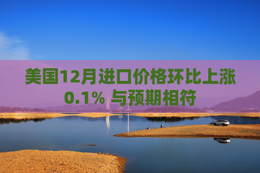 美国12月进口价格环比上涨0.1% 与预期相符