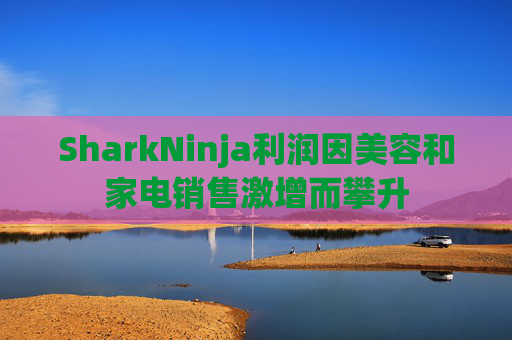 SharkNinja利润因美容和家电销售激增而攀升